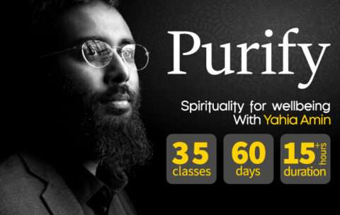 Purify 700 x 430 480x304 1